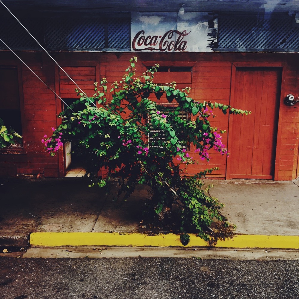 Meet your Posher, Ruth